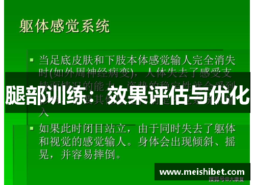 腿部训练：效果评估与优化