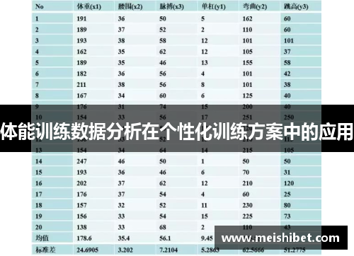 体能训练数据分析在个性化训练方案中的应用